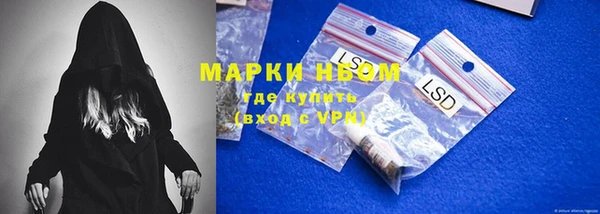 гашик Богородск
